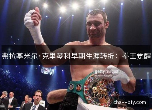 弗拉基米尔·克里琴科早期生涯转折：拳王觉醒